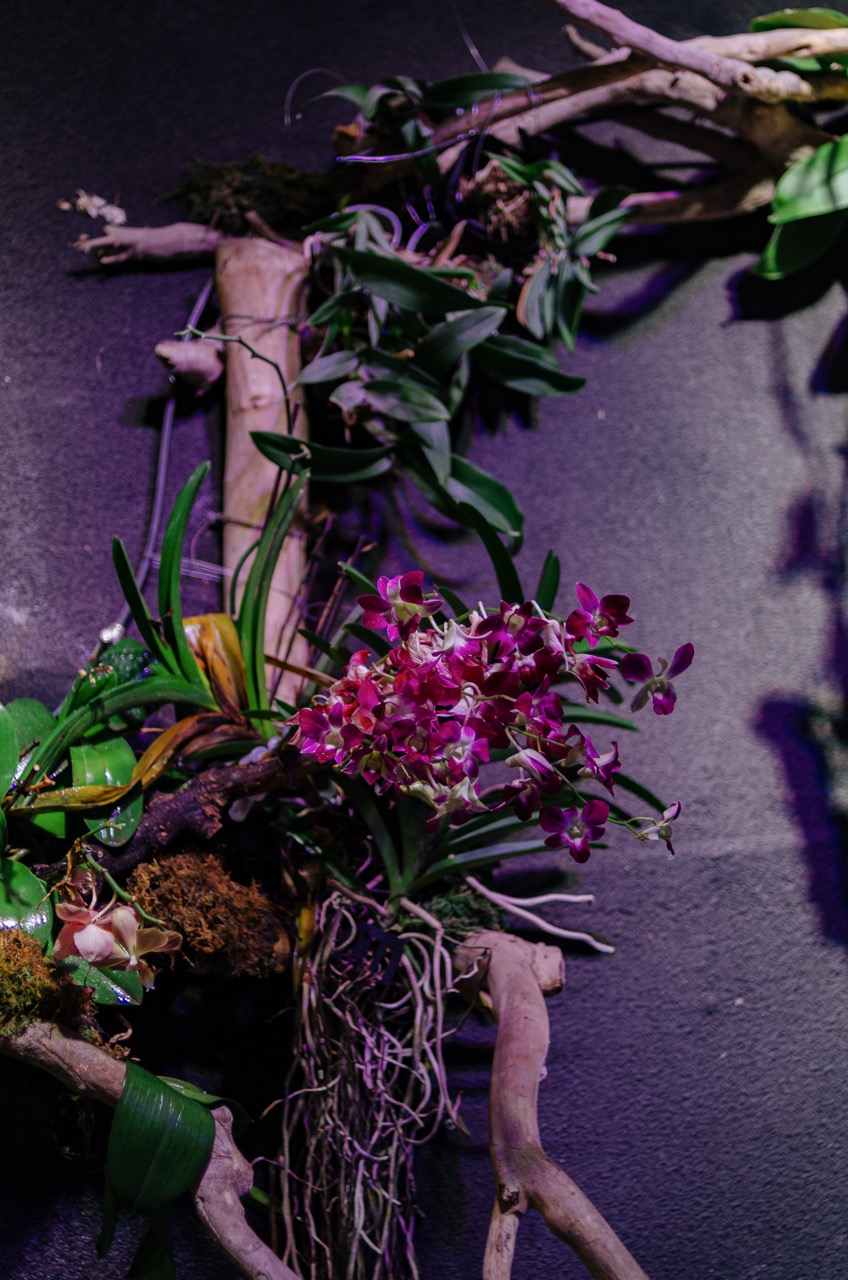 Превью Dubai 2022